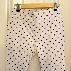 NWOT NY&Co pull on pant